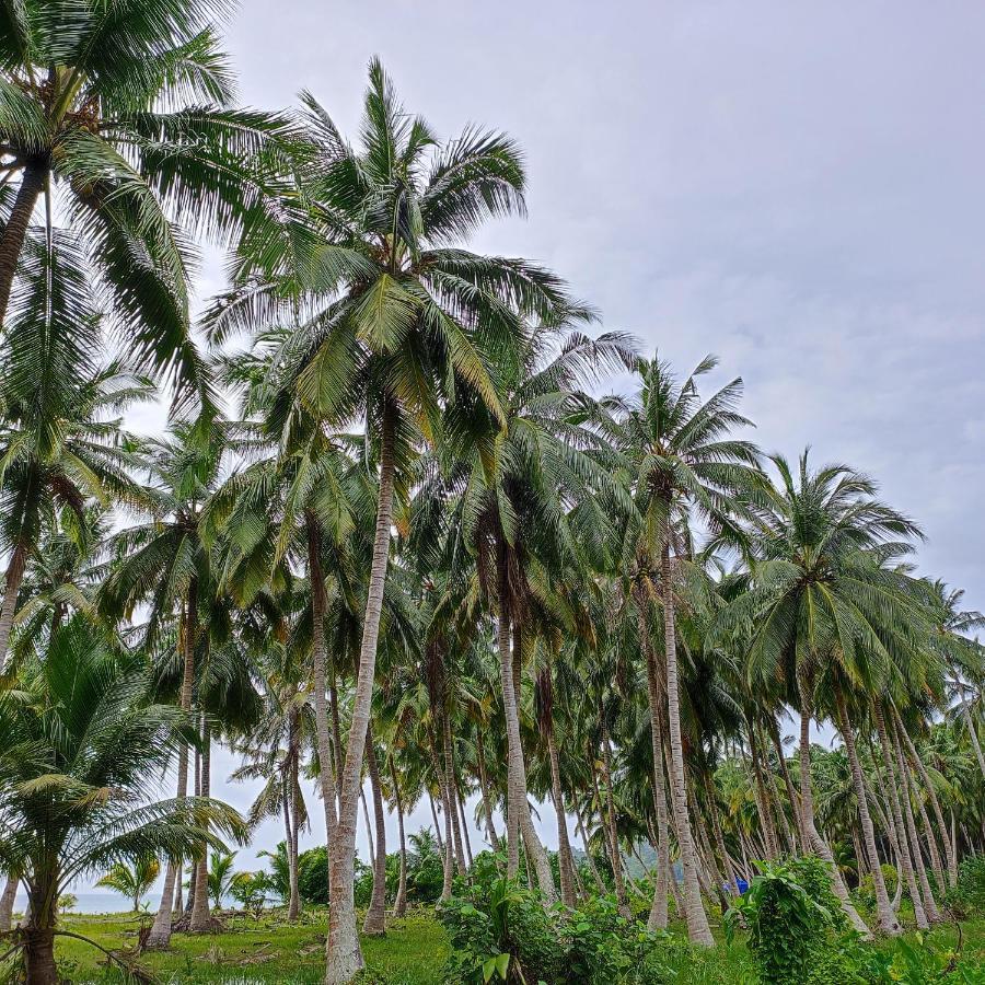 Honey Moon Beach Resort ANDAMAN AND NICOBAR ISLANDS Exterior foto